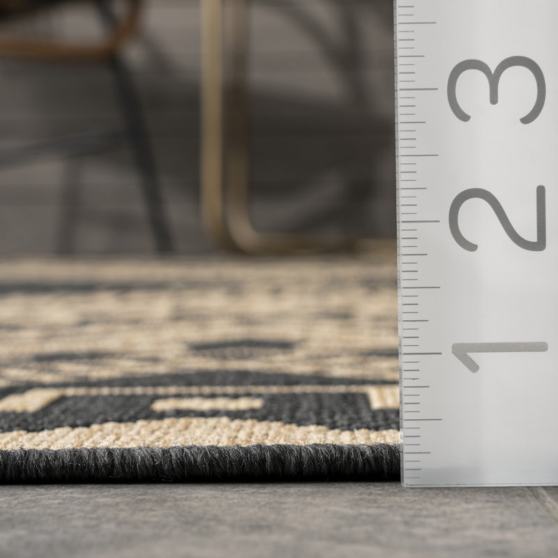 Alsie Southwestern Geometric Power Loomed Indoor/Outdoor Patio Rug, Rectangle 9'6" x 12', Charcoal/Ivory
