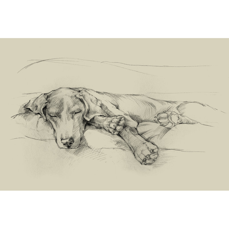 Dog Days II by Ethan Harper - Print, 20cm H x 30cm W, Wrapped Canvas