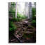 Art mural en verre Ebern Designs «The Forest Gates» par Rick Berk-749884640