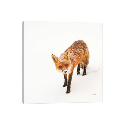 Red Fox II 1 Piece Wrapped Canvas Wall Art