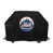 LMB Mets de New York