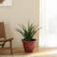 Ensemble de 2 pots à fleurs ronds en céramique 15,5 po-995547852-995547849