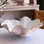 Encanto Aries Bowl-1222490102