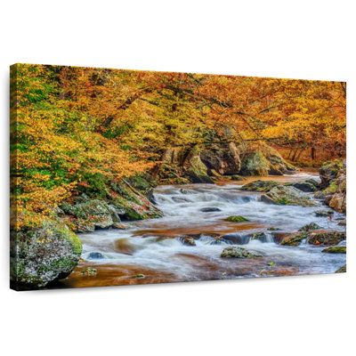 Alvord Smoky Mountain Stream