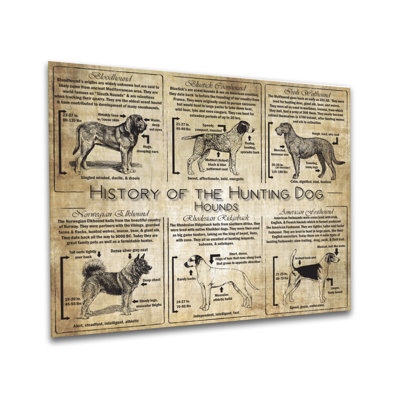 Histoire du chien armé - collage de race