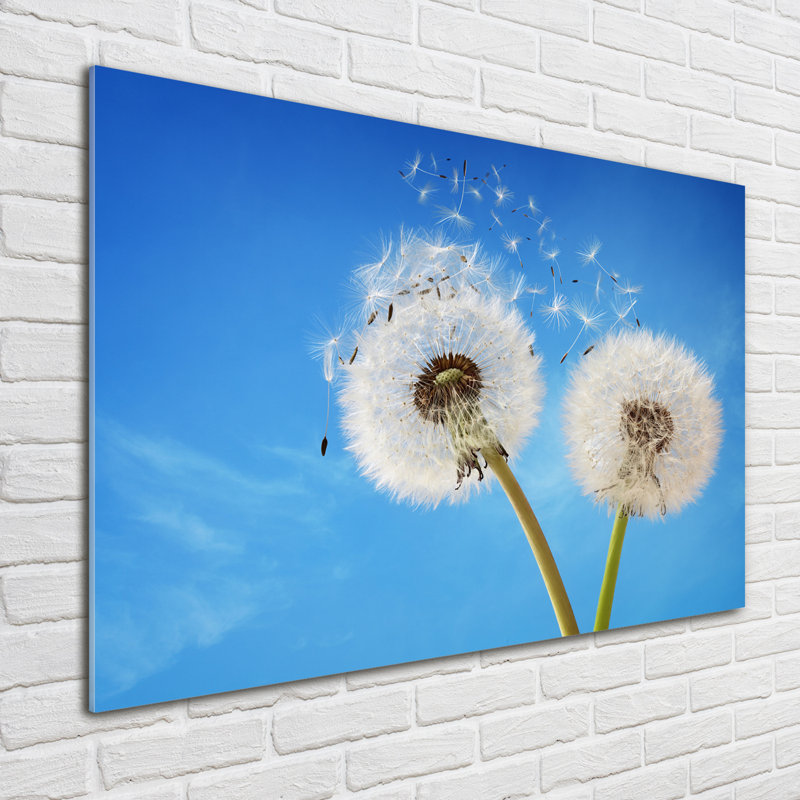 Dandelions - No Frame Print on Glass