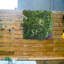 Plastic Wall Decor