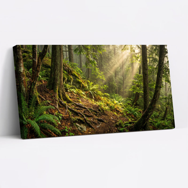 «Forest Light», reproduction d'art sur toile, ensemble de 1, Toile tendue, L 58 po x H 28 po