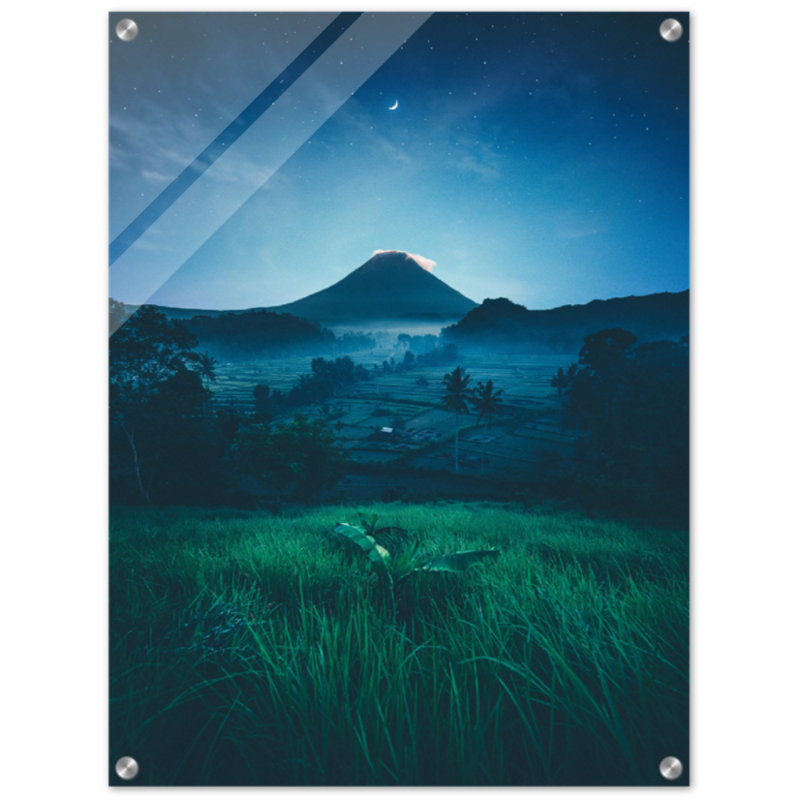 «Grass Field Night Print», art mural paysage au clair de lune, affiche sur toile «ciel étoilé», œuvre d'art de la nature du ciel étoilé - décor de scène extérieure paisible