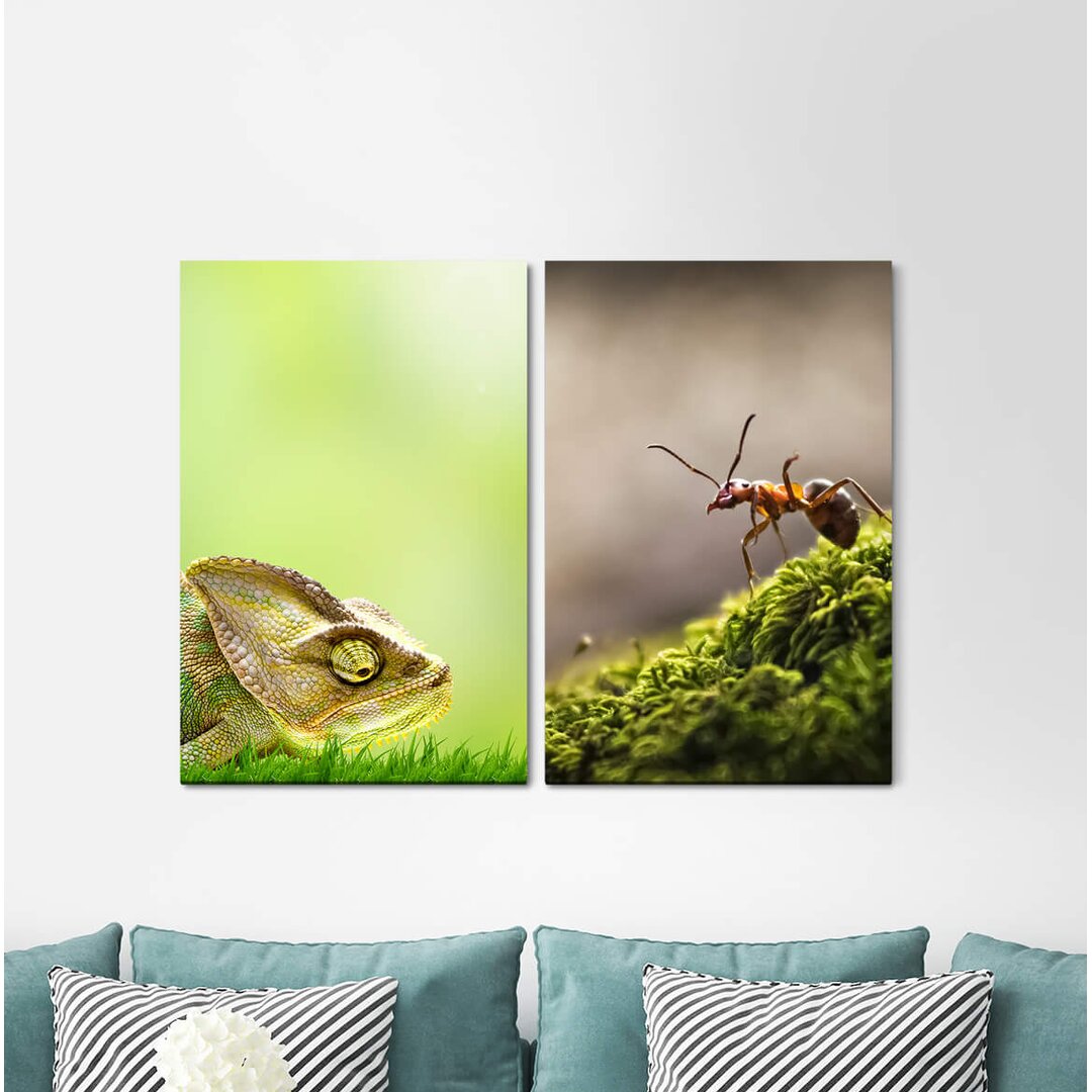 2-tlg. Leinwandbilder-Set - Fotografie „Chameleon Greens Ant Wood Antnature”