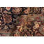 Roby Wool Oriental Rug