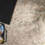 Fossil 12x12 Matte Tumbled Petrified Natural Stone Mosaic Tile