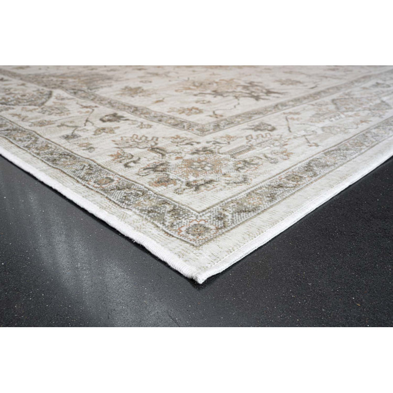 Helfrich Oriental Viscose Area Rug, Rectangle 160 x 230cm