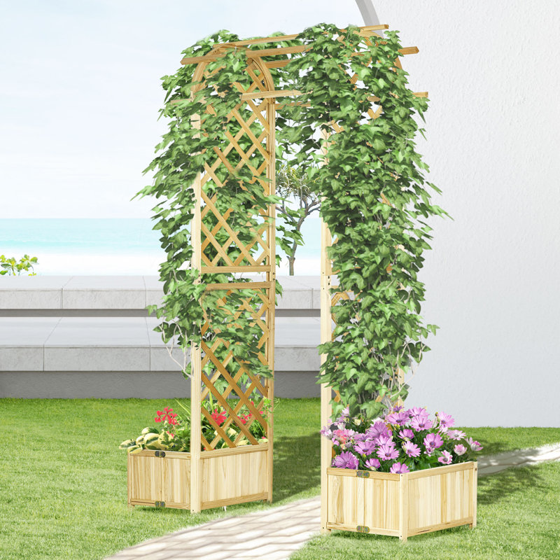 Tonnelle de jardin pour plantes grimpantes et treillis