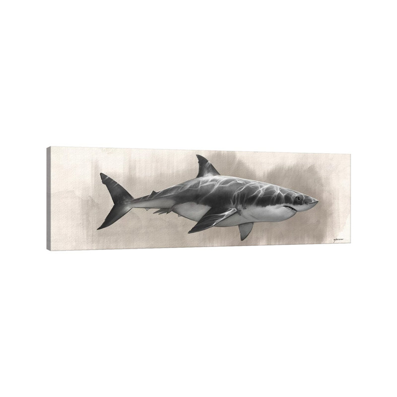 Great White Shark Drawing by Steve Goad - Wrapped Canvas Panoramic Print, 30.48 cm H x 91.44 cm W x 1.91 cm D