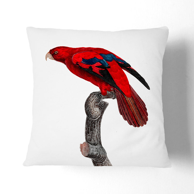 Square Cushion, 55cm H x 55cm W x 20cm D, Stone