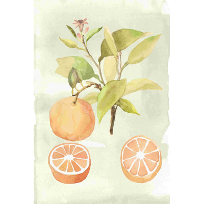 Aquarelle de fruits V
