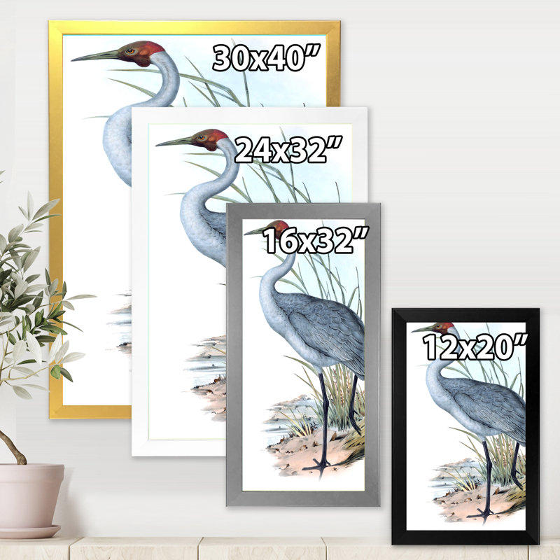 «Vintage Australian Birds V», impression sur toile encadrée, H 40 po x l 30 po x 1,5 po, Encadrement doré