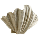 Shelly 1 - Light Wall Scone