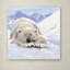 «Bearcub Square» par Armand, reproduction sur toile-21651354