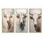 Beau portrait de bovin beige-453215554-453215580