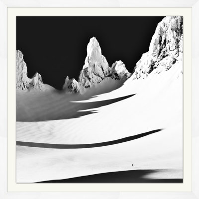 Contrast Print by Thom Filicia