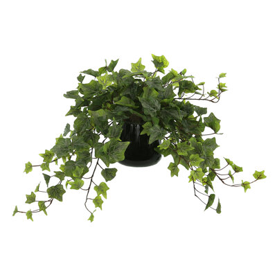 Lierre artificiel Jenner dans un vase