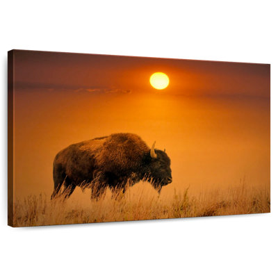 Lever de soleil bison Brampt