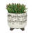 Includes plant rack flower pots