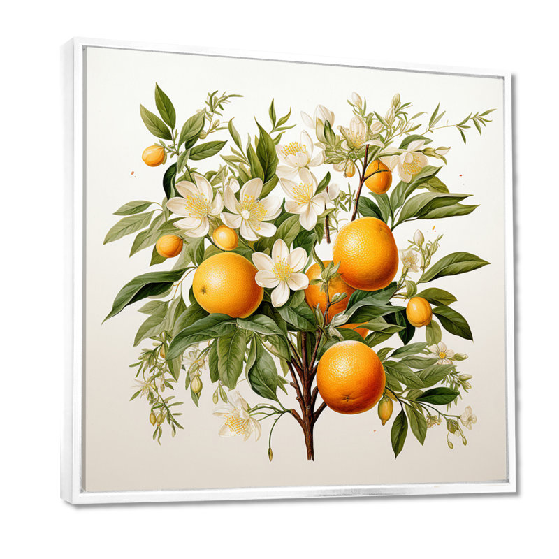 Fruit Canvas Wall Art, Tree Botanical Print -  Tree, 16" H x 16" W, White Floater Framed