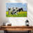 Brampt Spotted Cattle-107848818