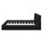 Queen Size Upholstered Platform Bed, Black