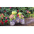 Bluebelle Plastic Garden Statue
