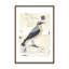«Wheatear» par Deborah Revell, reproduction d'art sur toile-1864548001-1864548060