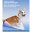 Lit orthopédique en polyester pour animaux