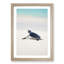 New Born Sea Turtle in Abstract - Framed Print-55727778-55727780
