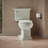 Memoirs 1.28 GPF Water Efficient Elongated Two-Piece toilet (Seat Not Included)-15703359