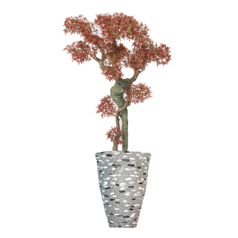 57 po H Bonsai Real-touch