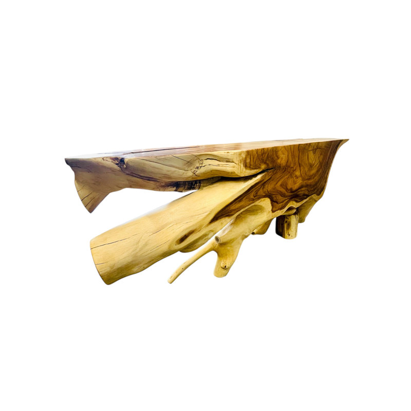 Live Edge Root Wood Console Table