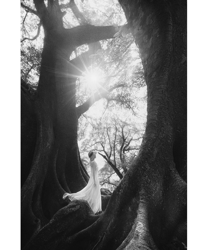 Wrapped Canvas Print, 50.8 cm H x 76.2 cm W