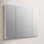 Verdera Aluminum Medicine Cabinet