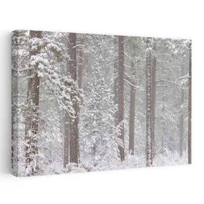 Neige recouverte de pin ponderosa dans une forêt, art indien contemporain, forêt, Ford, Oregon, États-Unis
