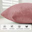 Striped Crushed Velvet Cushion Cover (Set Of 2) -2011448003