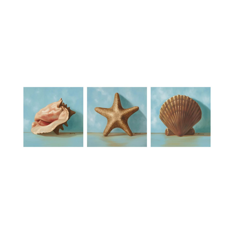 Coquillages triptyque - ensemble d'art mural sur toile tendue (ensemble de 3)