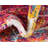 Tellaro Abstract Indoor Rug-61874874