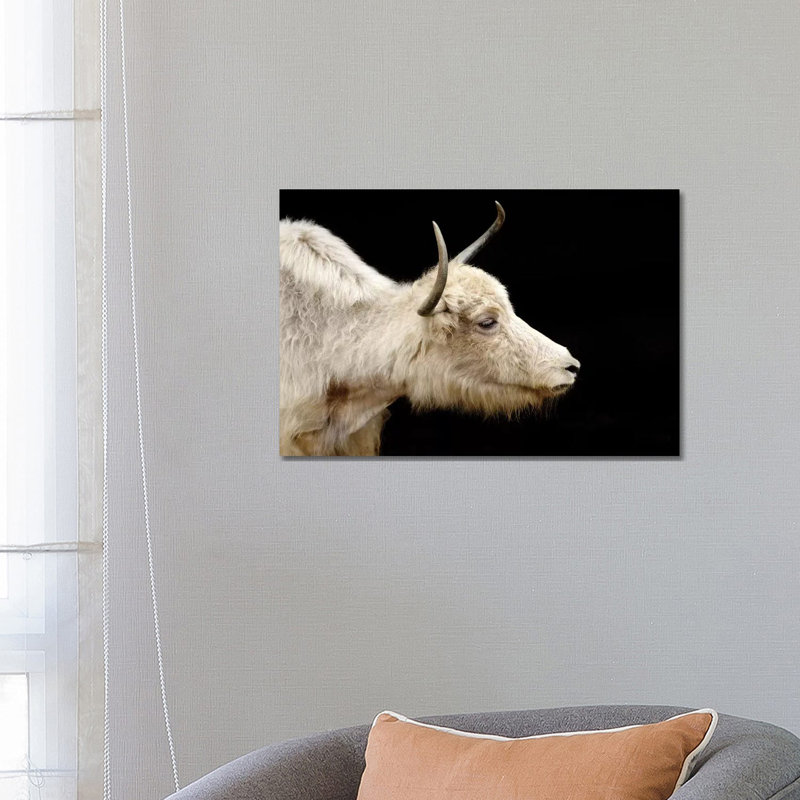 Cow VI 1 Piece Wrapped Canvas Wall Art, 66.04 cm H x 45.72 cm W x 3.175 cm D