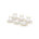 Gold/White
