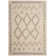 Develin Performance Geometric Rug