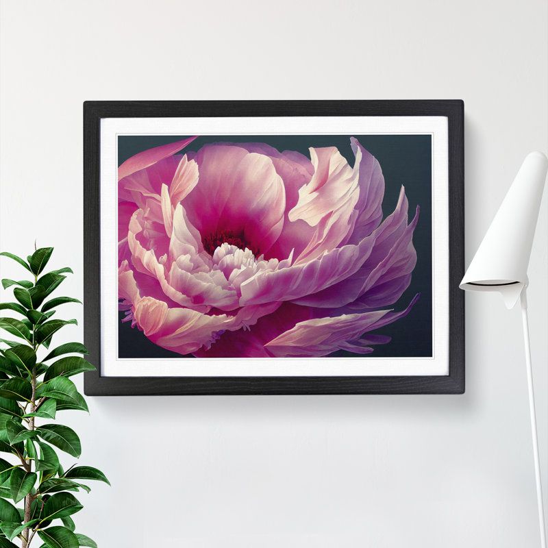 Bedazzled Peony Flower - Single Picture Frame Print, Black Frame, 46cm H x 64cm W x 2cm D