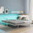 Metal Daybed with LED and Pop Up Trundle-1837360538